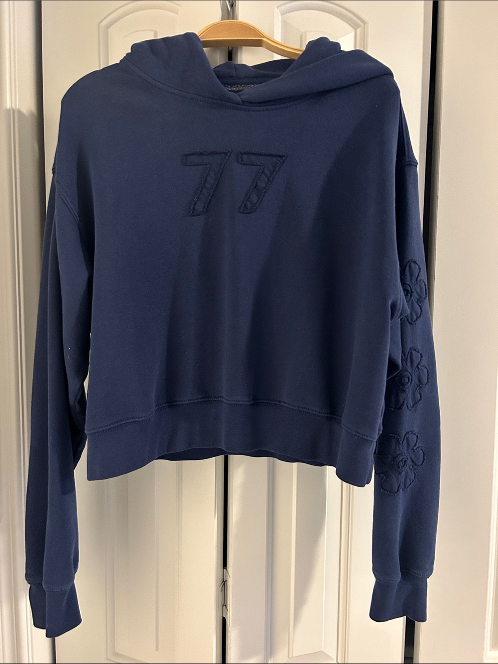 American Eagle Outfitters Navy Blue Embroidered '77 Hoodie